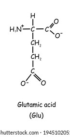 Amino Acid Chemical Structure Glutamic Acid Stock Illustration ...