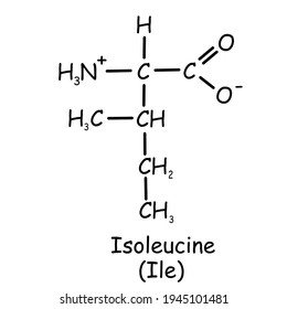 Isoleucine Images, Stock Photos & Vectors | Shutterstock