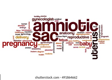 Amniotic Sac Word Cloud Concept