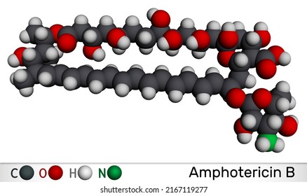 Amphotericin B Molecule Antifungal Used Treat Stock Illustration ...