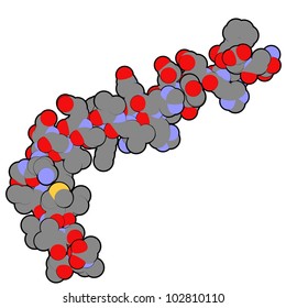 Amyloid beta (abeta 1-42) peptide, which is closely associated with Alzheimer's disease. Abeta is the main component of amyloid plaques. Atoms as spheres, conventional coloring, H atoms omitted