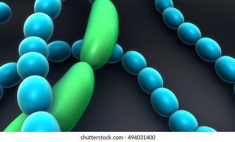 Anabaena 3d Illustration