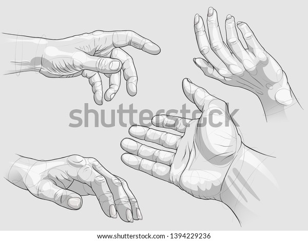 Anatomic Hands Different Positions Stock Illustration 1394229236 Anatomic Hands Different Positions 600w 1394229236