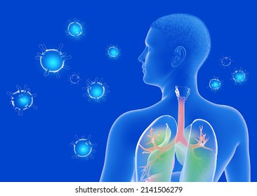 34,501 Human body interior Images, Stock Photos & Vectors | Shutterstock