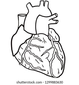 Human Heart Pencil Drawing 3d Illustration Stock Illustration ...