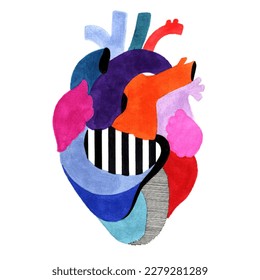 Anatomical human heart in