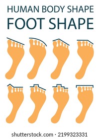 Anatomical Shape Of Human Toes. Footprint Set. Humor Illustration, Isolated On White Background, Flat Design