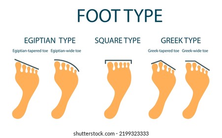 Anatomical Shape Of Human Toes. Footprint Set. Humor Illustration, Isolated On White Background, Flat Design