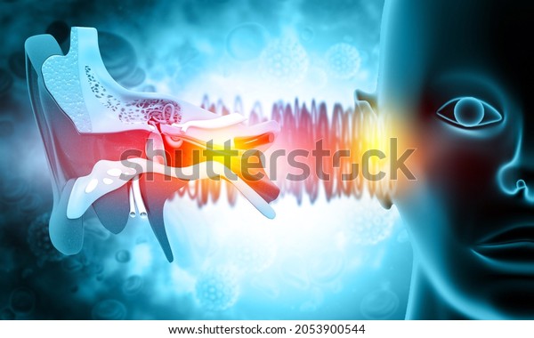 The anatomical structure of the\
human ear, sound wave and ear with middle ear, otitis, auditory\
canal, auditory canal and cochlea nerve, 3d\
illustration