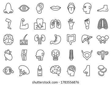 Anatomy Body Parts Icon Set Stock Illustration 1783556876 | Shutterstock