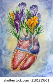 Anatomy Heart Flowers Watercolor Illustration