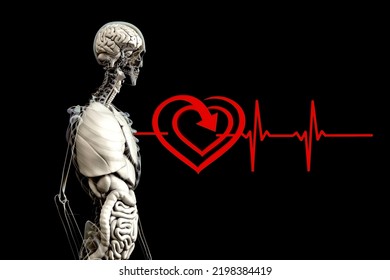 Anatomy Human Heart Beat Pulse Frequency Concept 3d Rendering With Black Background