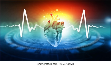 Anatomy Human Heart Ecg Graph On Stock Illustration 2053700978 ...