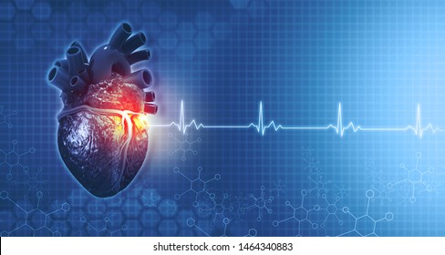 Anatomy Of Human Heart On Ecg Medical Background. 3d Render	