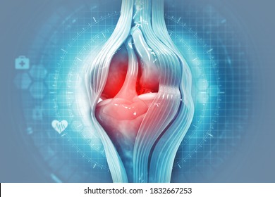 Anatomy Of Human Knee Joint.3d Illustration