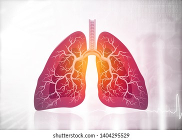 Anatomy Of Human Lungs. 3d Render		