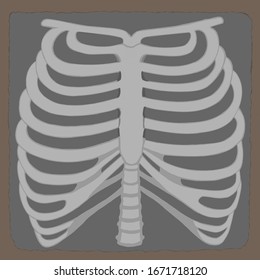 Ribcage drawing Images, Stock Photos & Vectors | Shutterstock