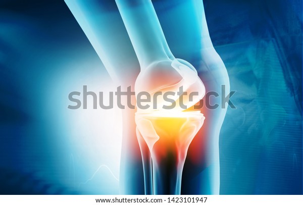 Anatomy Knee Joint On Medical Background Stock Illustration 1423101947