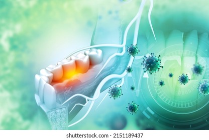 Anatomy Of Maxilla And Mandible Dental Structure, Viral Infection. 3d Illustration

