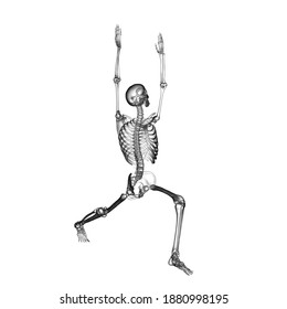 Anatomy of Warrior 1 pose, or Virabhadrasana 1. 3D illustration showing male human body with highlighted skeleton demonstrating the skeletal activity of this yoga posture