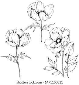 Big Set Rose Flowers Buds Leaves Stock Vector (Royalty Free) 1708209175