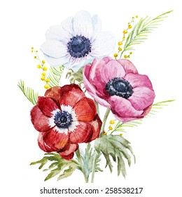 Anemone, Watercolor, Flowers, Flower, Mimosa