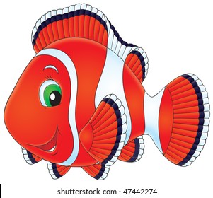 Anemonefish