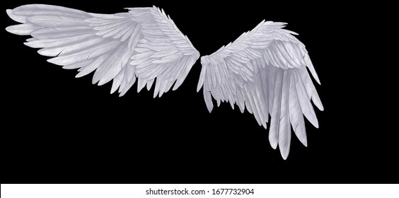 Angel wings, angel,texture wings, white, feathers