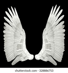 angel wings isolated on black background