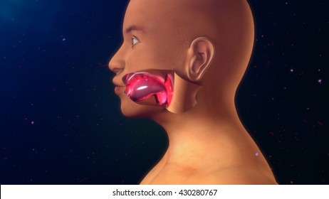 Angioedema 3d Illustration