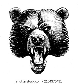 Angry Bear Head. Ink Black And White Drawing