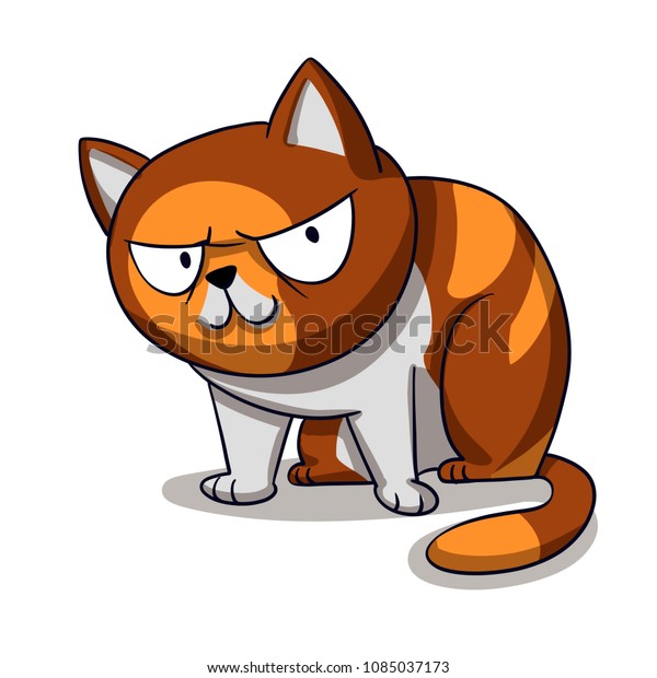 Cute Angry Cat Pictures - guarurec