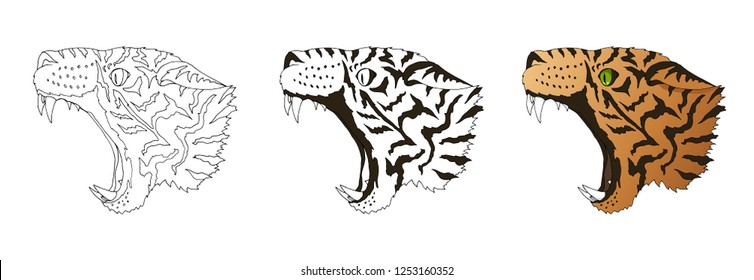 Angry Leopard Portrait Coloring Book Phases 스톡 일러스트 1253160352