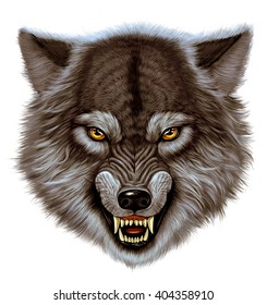 Angry wolf head. White background
