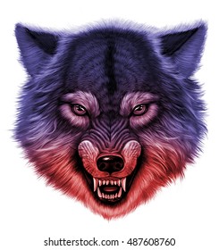 Angry Wolf Head. White Background