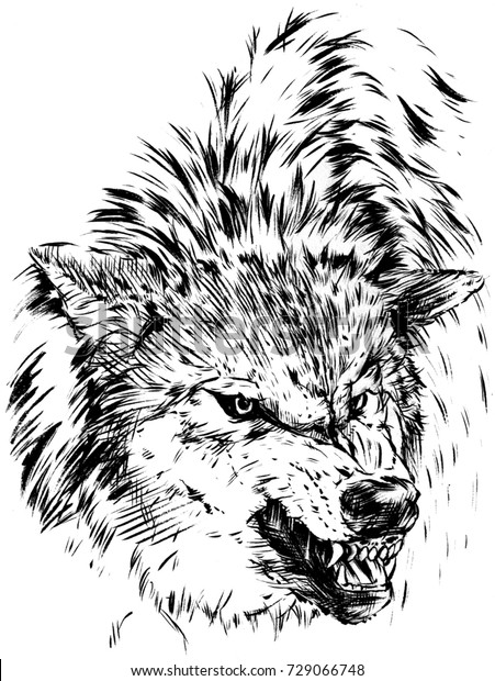 Angry Wolf Quick Hand Drawn Sketch Stock Illustration 729066748