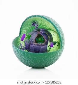 Animal cell cut-away - scientifically correct 3d illustration