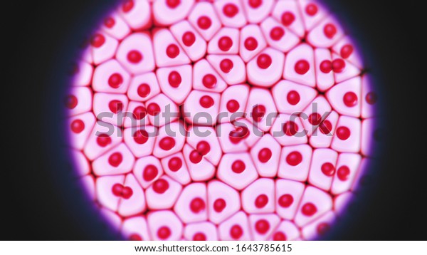 Animal cells microscopic view. Cells formations or\
division process. Microscope black frame or vignette. Medicine and\
Biology. Disease laboratory treatment. Scientific Cellular\
Illustration. 3D\
Render