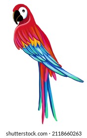 Animal Illustration: Macaw parrot. Watercolor, isolated, hand painted. Colorful flying macaw parrot isolated on white.