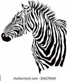 5,353 Zebra clip art Images, Stock Photos & Vectors | Shutterstock