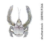 Animal Illustration: Yeti crab. Watercolor, isolated, hand-painted.