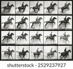 Animal Locomotion Plate 640 (1887), horse riding photographed by Eadweard Muybridge. Vintage locomotion art, horse animal drawing illustration, old animal painting, animal locomotion art print.