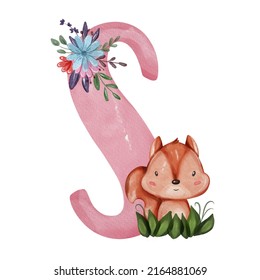 Animal Nursery Alphabet. S Is For Squirrel. Hand Drawn Watercolor Alphabet Letters
