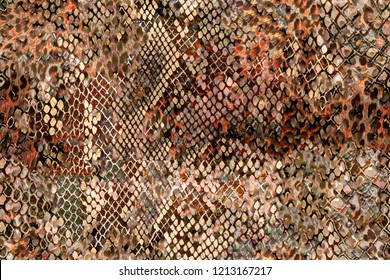 Animal Print Snake Skin Texture