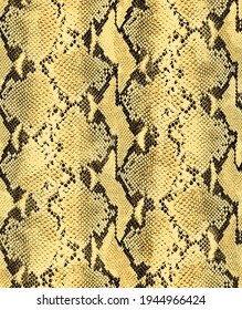 28,599 Yellow Snake Skin Images, Stock Photos & Vectors 