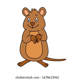Animal Quokka. Raster Illustration. For Pre School Education, Kindergarten And Kids And Children. For Print And Books, Zoo Topic. Australian Mammal Setonix Brachyurus. Smiling With Happy Face.