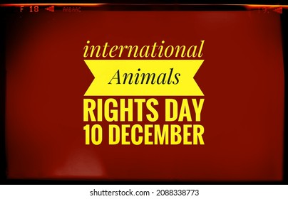 Animal Rights Day 10 December