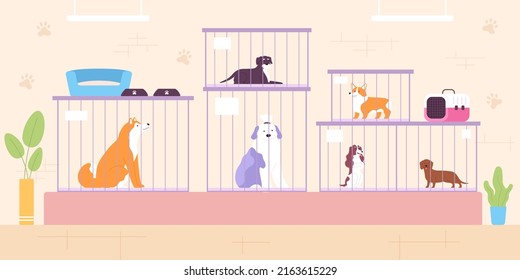 Animal shelter, adoption center or petshop interior with dogs. Rescued stray pets in cages. Dog kennel, help shelter or shop  concept. Homeless adorable puppies in safe organization - Powered by Shutterstock