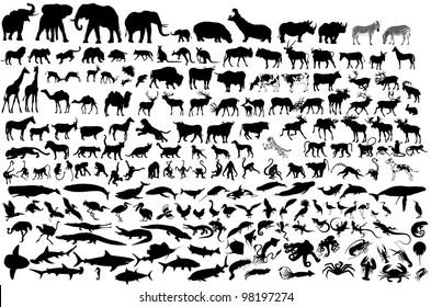 Animal Silhouettes Collection