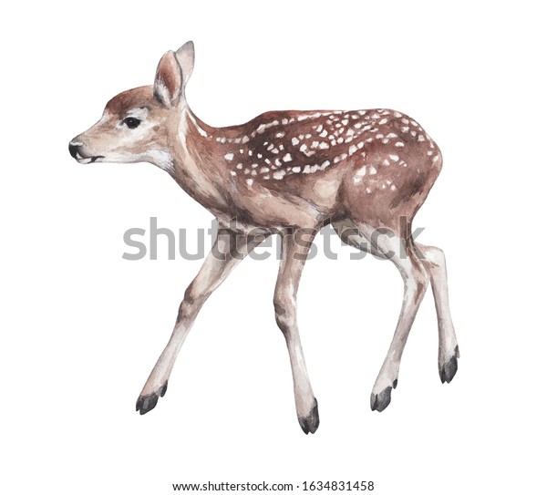 Animal Sketch Beautiful Spotted Deer Forest Stock Illustration